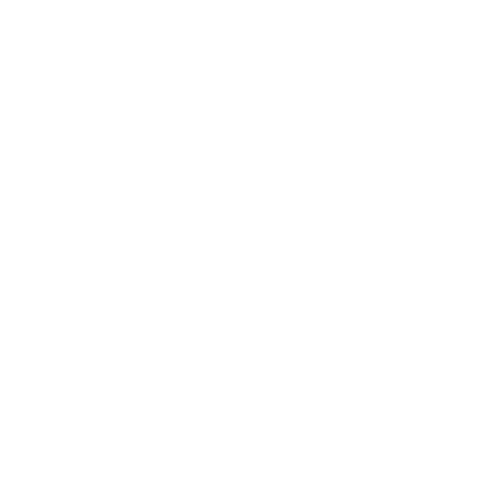 Brand Logo - Angénieux