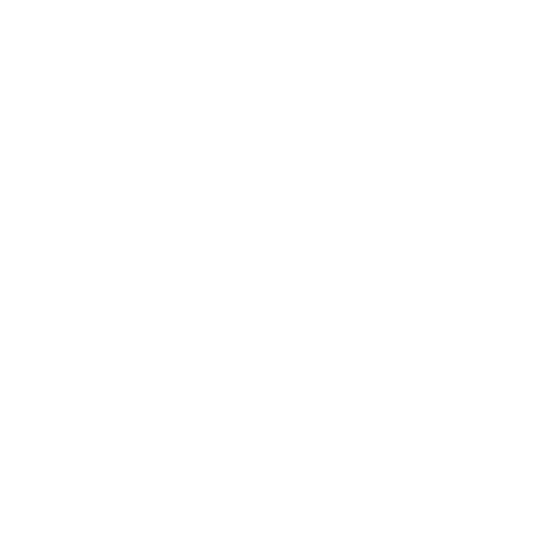 Brand Logo - Anton Bauer