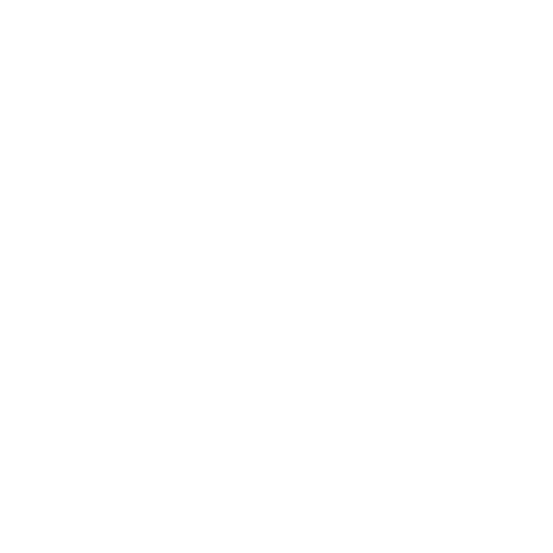 Brand Logo - DJI