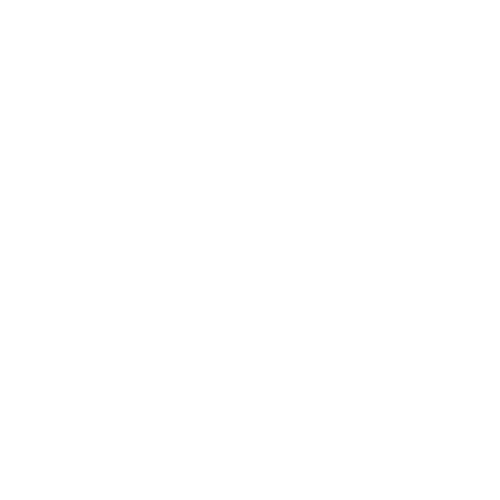 Brand Logo - Ecoflow
