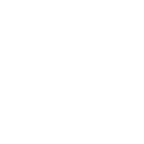 Brand Logo - Flanders Scientific Inc.