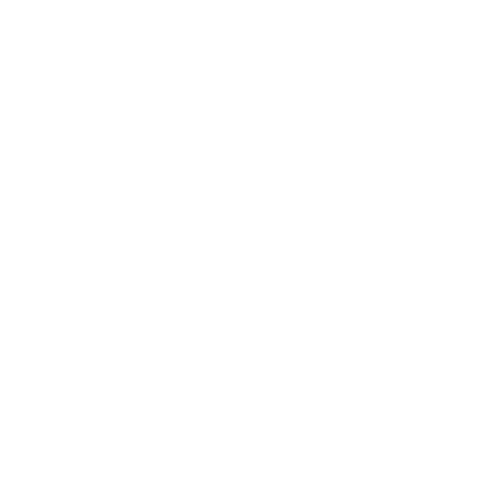 Brand Logo - Lilliput
