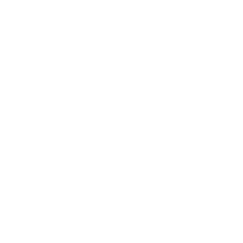 Brand Logo - Rode