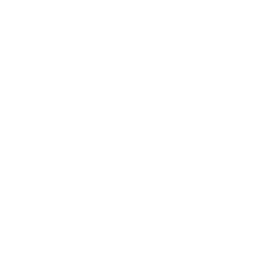 Brand Logo - Rokinon