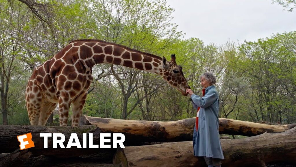 The Woman Who Loves Giraffes
